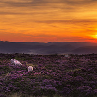 Buy canvas prints of Peak district sunset  by chris smith