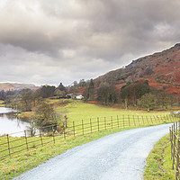 Buy canvas prints of country lane in the lakes  by chris smith