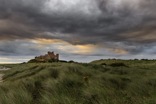 Bamburgh castle  Picture Board by chris smith