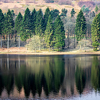 Buy canvas prints of Trees reflection  by chris smith
