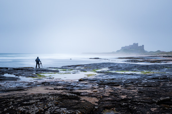 Bamburgh Castle on the Northumberland coast.   Picture Board by chris smith
