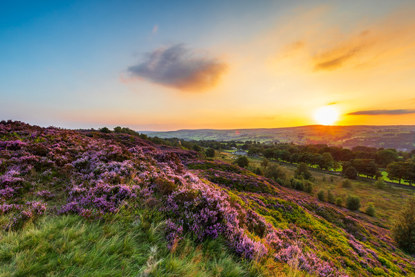 West Yorkshire Sunset   Picture Board by chris smith