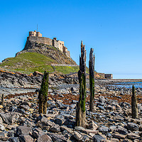Buy canvas prints of Lindisfarne castle   by chris smith