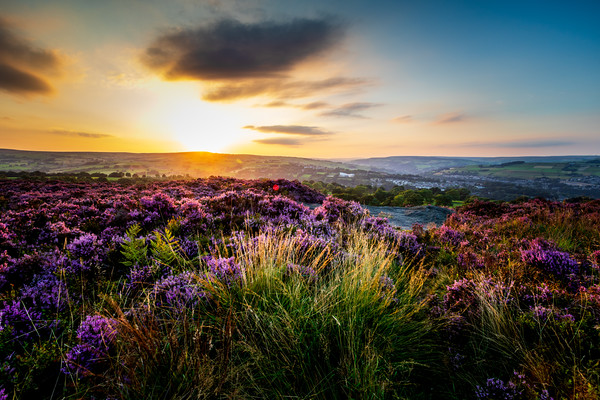 Yorkshire at sunset  Picture Board by chris smith