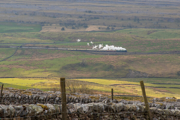 Steam trains in the yorkshire dales Picture Board by chris smith
