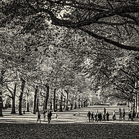 Buy canvas prints of London Park by chris smith