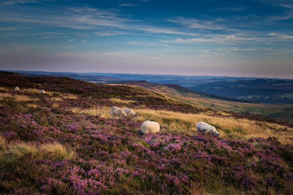 Peak district National Park Picture Board by chris smith