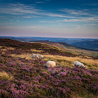 Buy canvas prints of Peak district National Park by chris smith