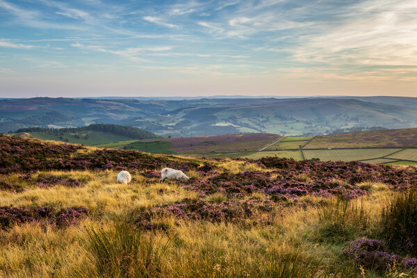 Peak district National Park Picture Board by chris smith