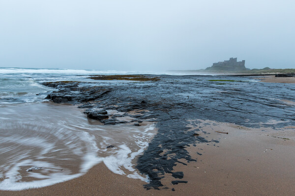 Bamburgh Castle on the Northumberland coast.  Picture Board by chris smith
