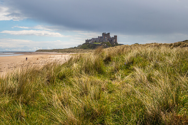 Bamburgh castle Picture Board by chris smith