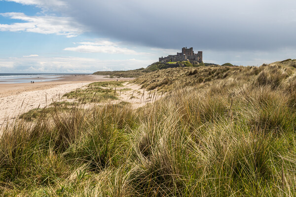 Bamburgh castle Picture Board by chris smith