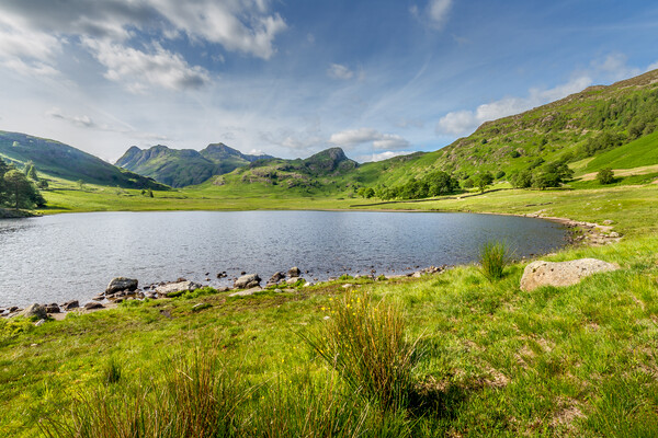 Blea Tarn Picture Board by chris smith