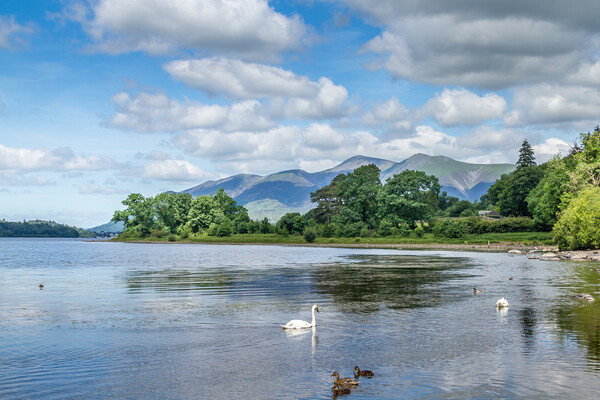 Derwent Water Lake District  Picture Board by chris smith