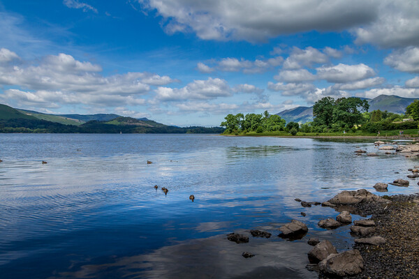 Derwent Water Lake District  Picture Board by chris smith
