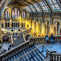 Buy canvas prints of Natural history museum London by chris smith