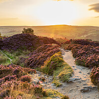 Buy canvas prints of Yorkshire Sunset by chris smith