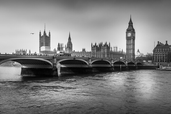 Westminster bridge Picture Board by chris smith