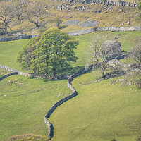 Buy canvas prints of Yorkshire dales by chris smith