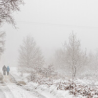 Buy canvas prints of Winter walk by chris smith