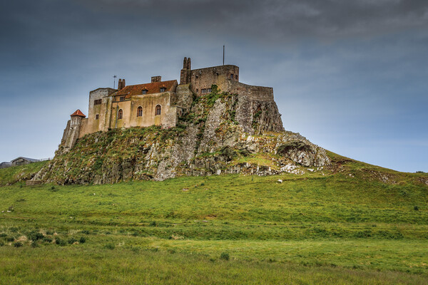 Lindisfarne Castle, holy island Picture Board by chris smith