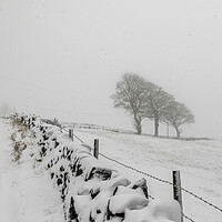 Buy canvas prints of Farm in the snow by chris smith