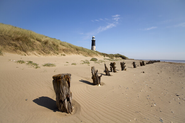 Spurn Point Lighthouse Picture Board by chris smith