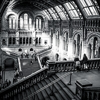 Buy canvas prints of Natural history museum London by chris smith