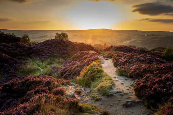 Yorkshire Landscape sunset Picture Board by chris smith