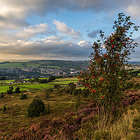 Buy canvas prints of Yorkshire Landscape Halifax by chris smith