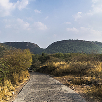 Buy canvas prints of Landscape of Ranthambore Forest by Swapan Banik