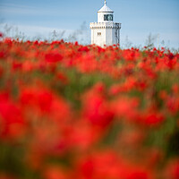 Buy canvas prints of South Foreland Lighthouse by Stewart Mckeown