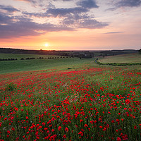 Buy canvas prints of Poppy sunset by Stewart Mckeown