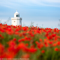Buy canvas prints of South Foreland Poppies  by Stewart Mckeown
