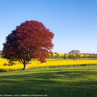 Buy canvas prints of Spring Colours by Stewart Mckeown