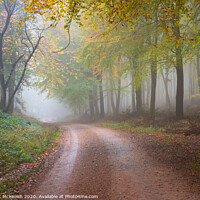 Buy canvas prints of Autumnal Woodland by Stewart Mckeown