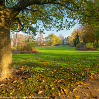 Buy canvas prints of Autumn in Westgate Gardens, Canterbury by Stewart Mckeown