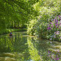 Buy canvas prints of Basingstoke Canal. North Hampshire  by Philip Enticknap