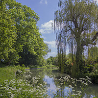 Buy canvas prints of The Basingstoke Canal  by Philip Enticknap