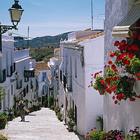 Buy canvas prints of WHITE VILLAGE OF FRIGILIANA ANDALUCIA., SPAIN by Philip Enticknap