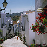 Buy canvas prints of WHITE VILLAGE OF FRIGILIANA ANDALUCIA., SPAIN by Philip Enticknap