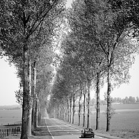 Buy canvas prints of Tree Lined Road France  by Philip Enticknap