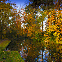 Buy canvas prints of Basingstoke Canal in Autumn  by Philip Enticknap