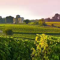 Buy canvas prints of Landscape ,Poitou-Charentes, France  by Philip Enticknap