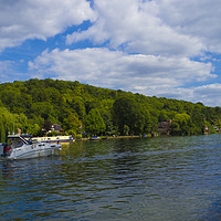 Buy canvas prints of River Thames near Henley on Thames  by Philip Enticknap