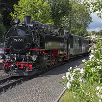 Buy canvas prints of Steam train on the Zittau Railway,Saxony ,Germany. by Philip Enticknap