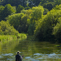 Buy canvas prints of Fly Fishing ,River Itchen,Hampshire England by Philip Enticknap
