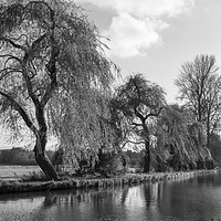 Buy canvas prints of The River Wey,Guildford, Surrey,England  by Philip Enticknap