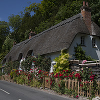 Buy canvas prints of Thathched Cottage,Wherwell,Hampshire ,England.  by Philip Enticknap