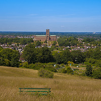 Buy canvas prints of View to Guildford Cathedral by Philip Enticknap